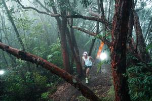 BIB: 
                            <button type="button" onclick="openModal(26343762)" class="btn btn-primary btn-sm float-right btn-popup" data-toggle="modal" data-target=".modal-high-quality">
                        <i class="fas fa-shopping-cart"></i> Add to Cart
                    </button>
                                            <button type="button" onclick="isThisMe(26343762, true)" class="btn btn-success btn-sm float-right btn-popup btn-isme hidden" data-toggle="tooltip" data-placement="bottom" title="นี่คือรูปของคุณใช่ไหม คลิกที่นี่เพื่อเอาเข้าอัลบั้ม">
                        <i class="fas fa-plus"></i> Add to album
                    </button>
                    <button type="button" onclick="isThisMe(26343762, false)" class="btn btn-warning btn-sm float-right btn-popup btn-isnotme hidden">
                        <i class="fas fa-ban"></i> Remove from album
                    </button>